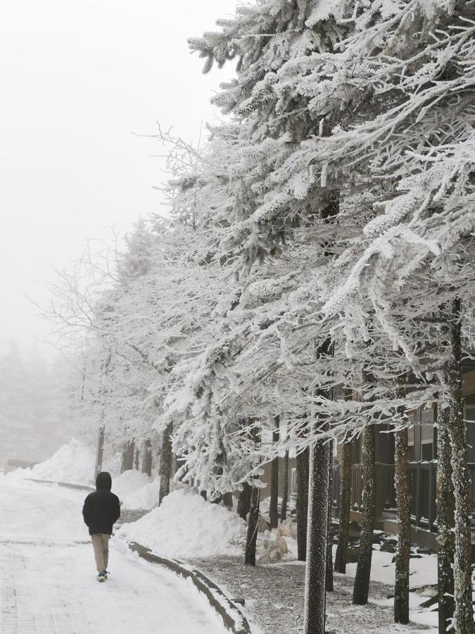 Gorgeous House For Ski Retreat Or Mountain Vacations Snowshoe Luaran gambar