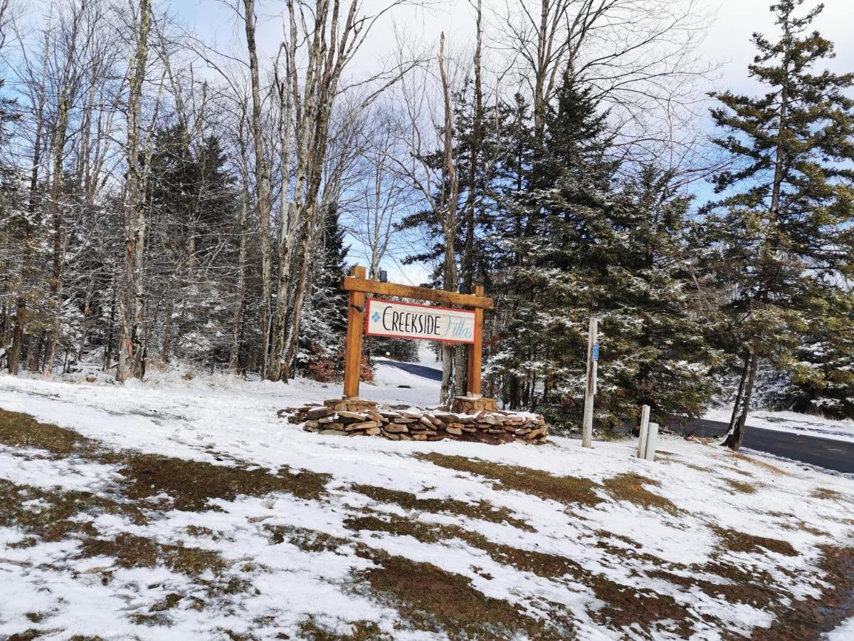 Gorgeous House For Ski Retreat Or Mountain Vacations Snowshoe Luaran gambar
