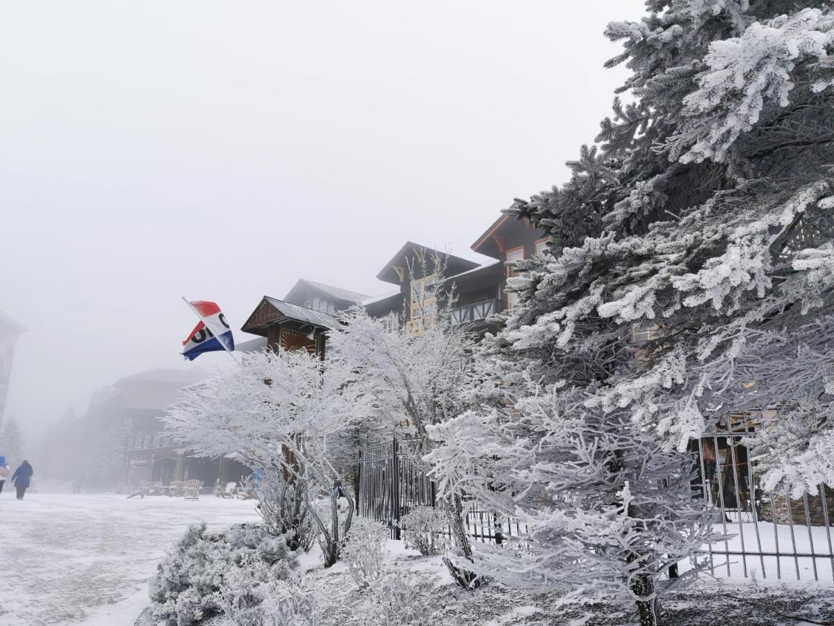 Gorgeous House For Ski Retreat Or Mountain Vacations Snowshoe Luaran gambar